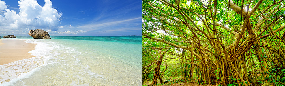 株式会社沖鉱開発の環境について